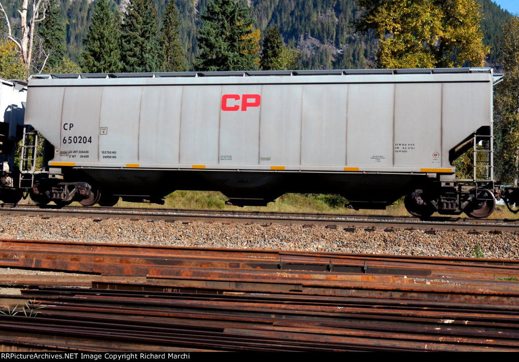 CP 650204